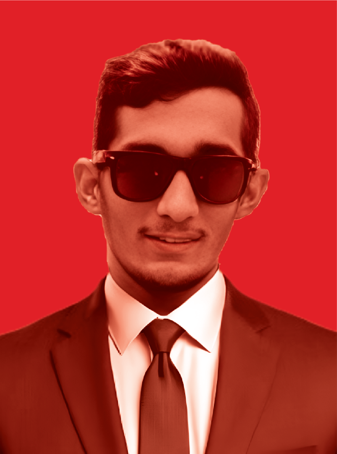 Lead Designer